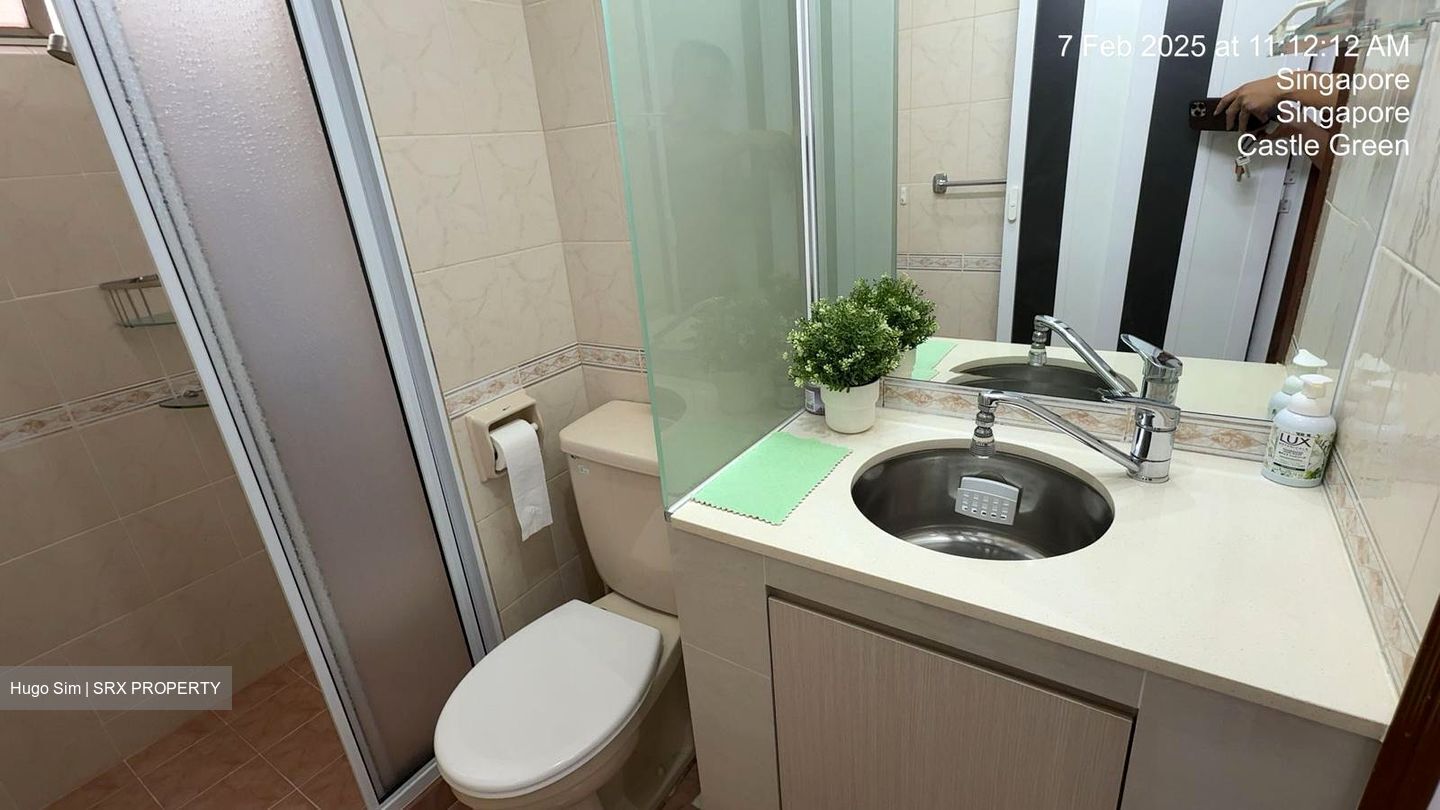 Castle Green (D26), Condominium #452906401